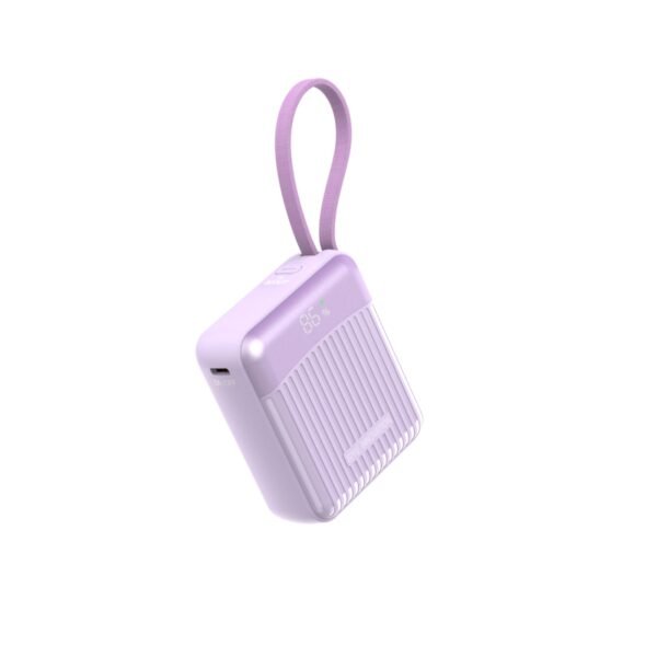 Built-in Cable Fast Charge Power Bank